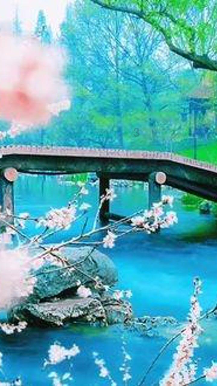 黑暗之魂